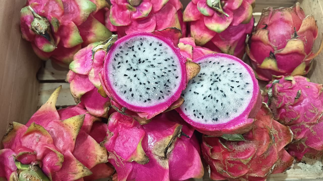 Frutas